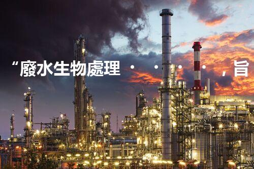 “廢水生物處理，旨在凈化水源，守護(hù)碧水藍(lán)天”